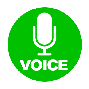 VoiceSample